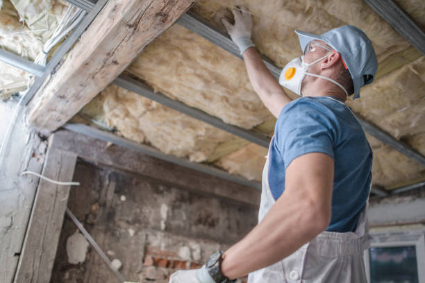 Best Insulation for Commercial Buildings  in Pennington Gap, VA